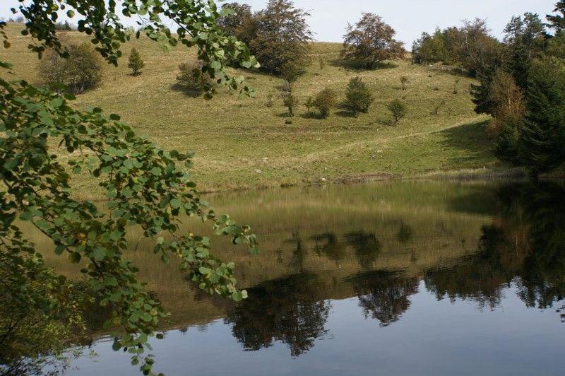 Gîte de famille dans les Vosges Saint-Maurice-sur-Moselle Extérieur photo